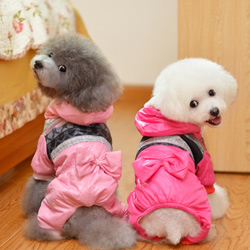 2012年新款宠物棉衣，宠物蝴蝶棉服，超级可爱美丽